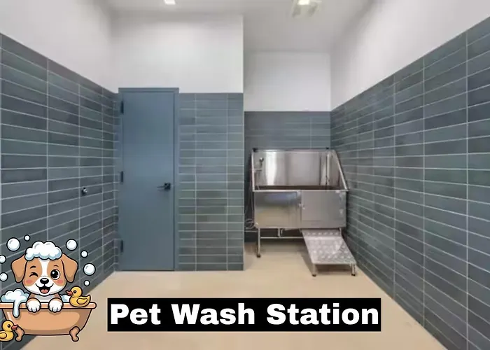 Apartment Hulu+gym+parking Near Shopping|upmc|universities